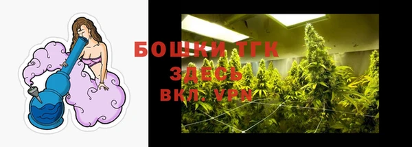 Альфа ПВП Краснослободск