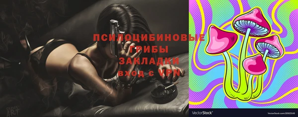 герыч Ладушкин