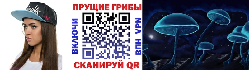 Псилоцибиновые грибы мухоморы сколько стоит Невинномысск